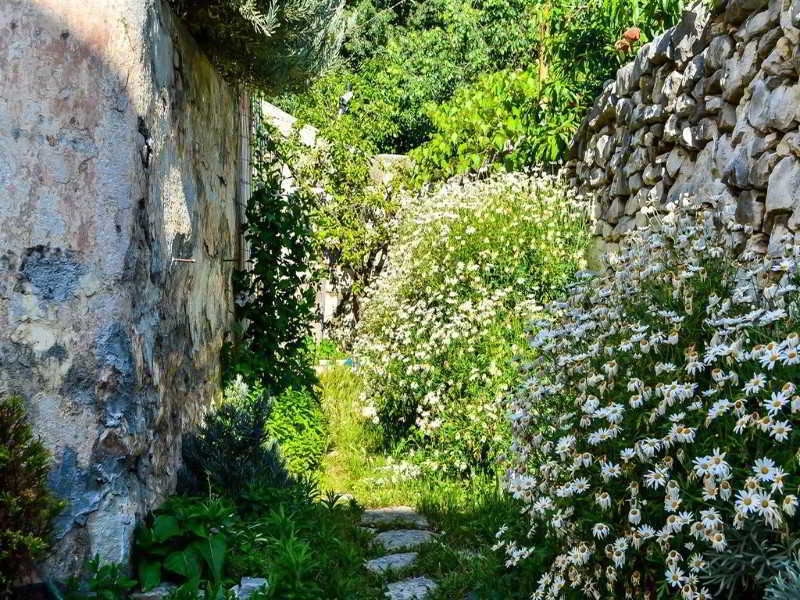 Slavica