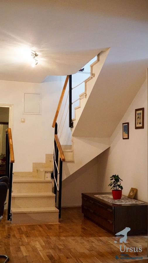 Duplex Tinel *