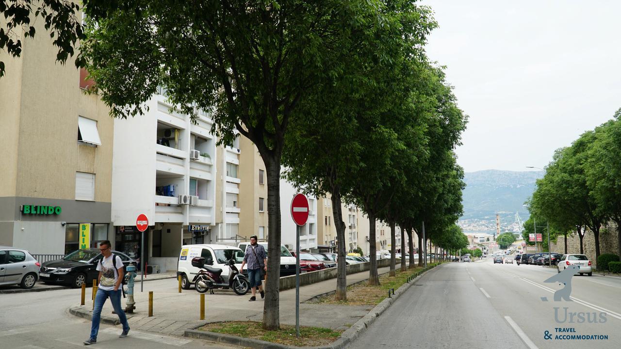 Duplex Tinel * Split