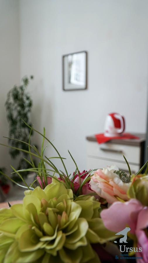 Duplex Tinel Apartment *