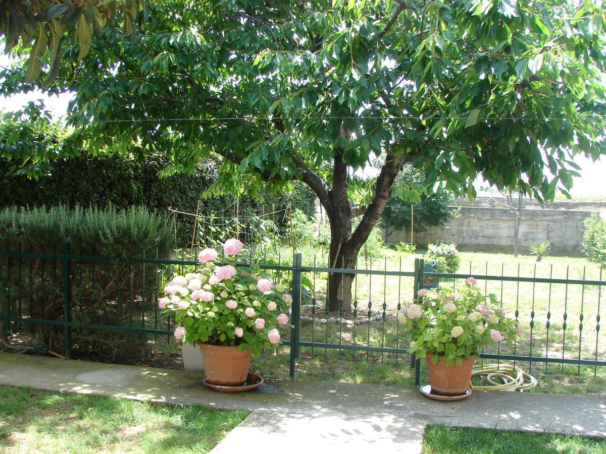 Svagi Apartment *
