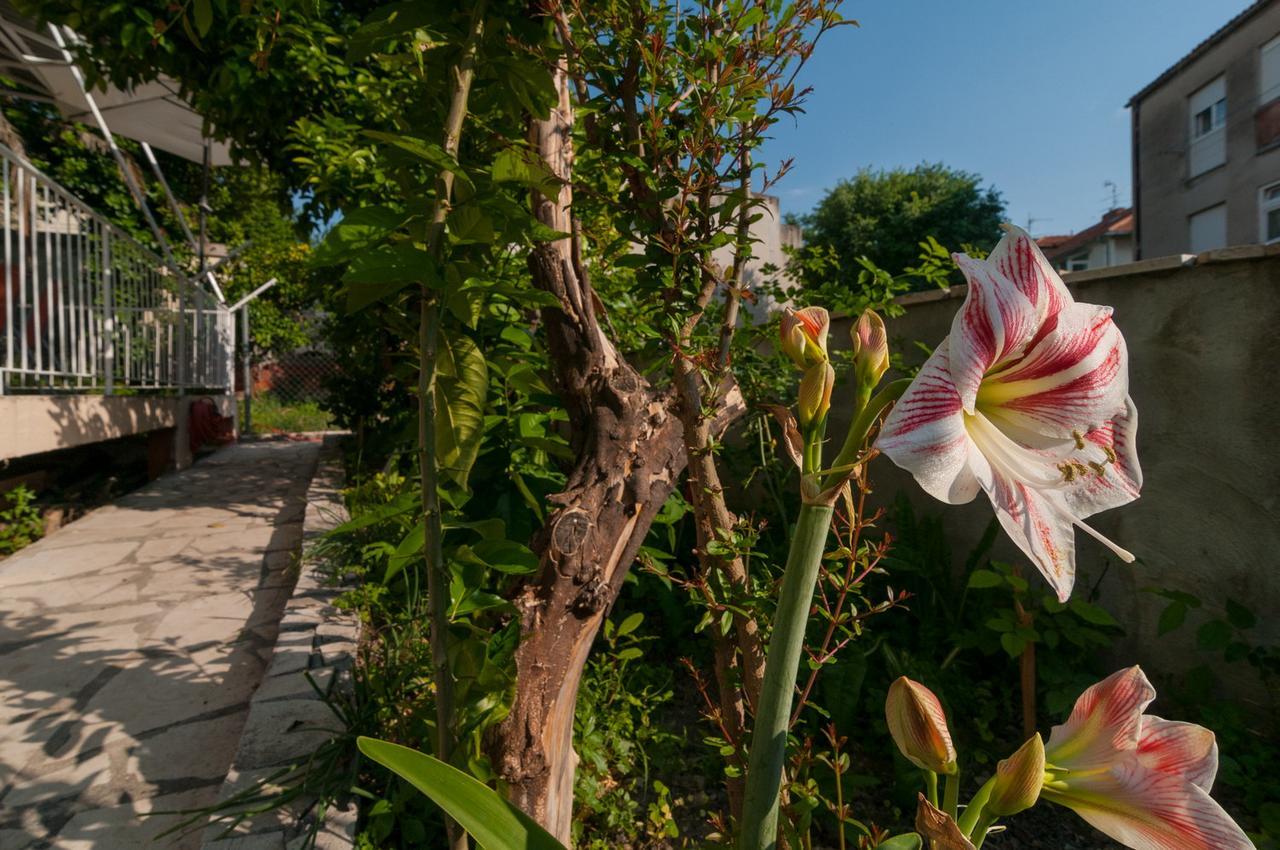 Apartment Vedrana *