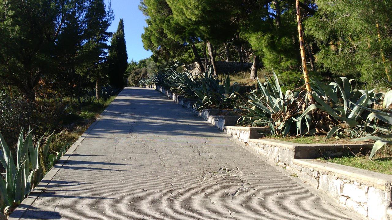 Apartman Bella