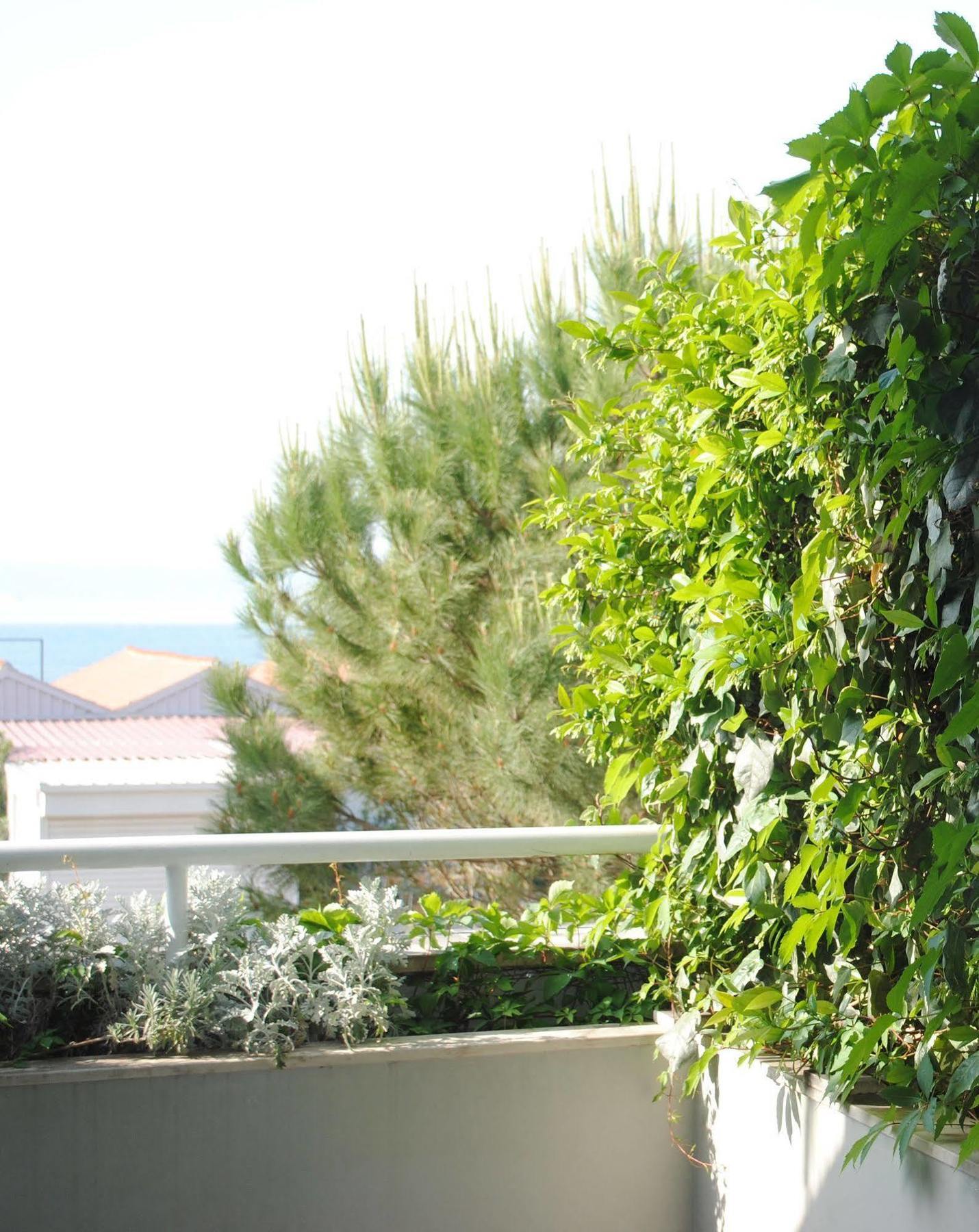 Hotel More 3*