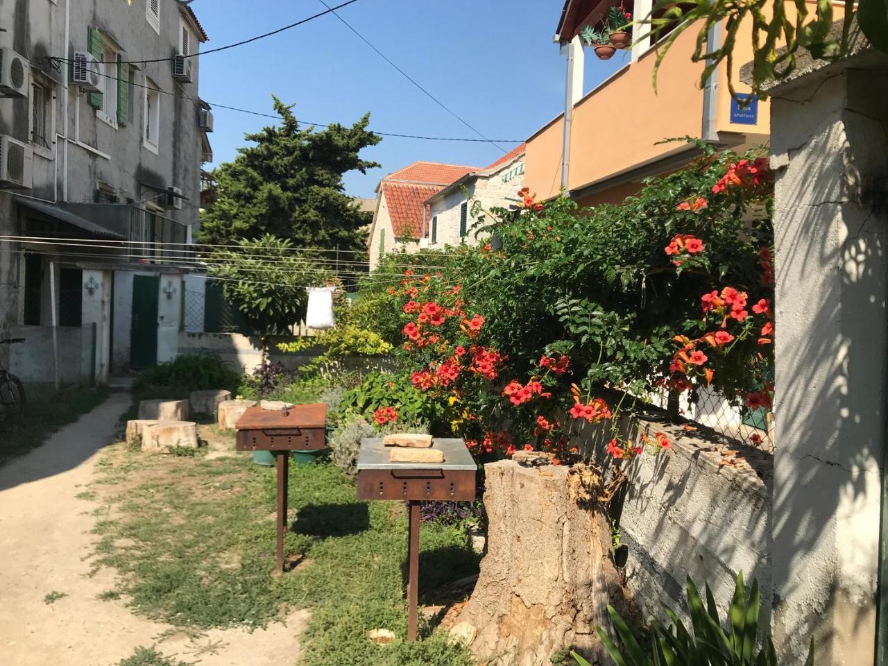 Guest house Nirvana & 3*