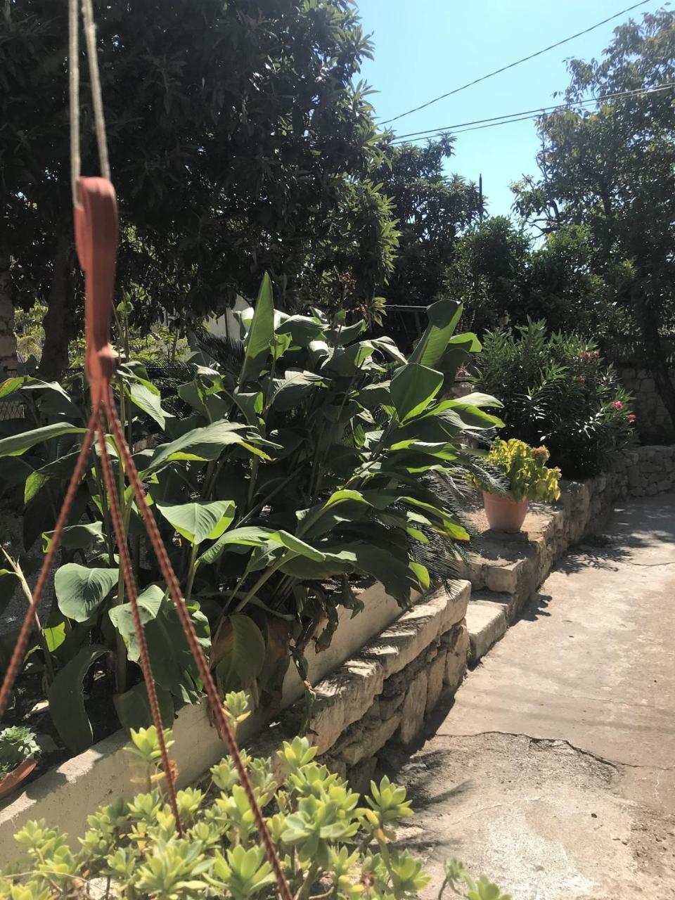 Mediterano - Center Apartment