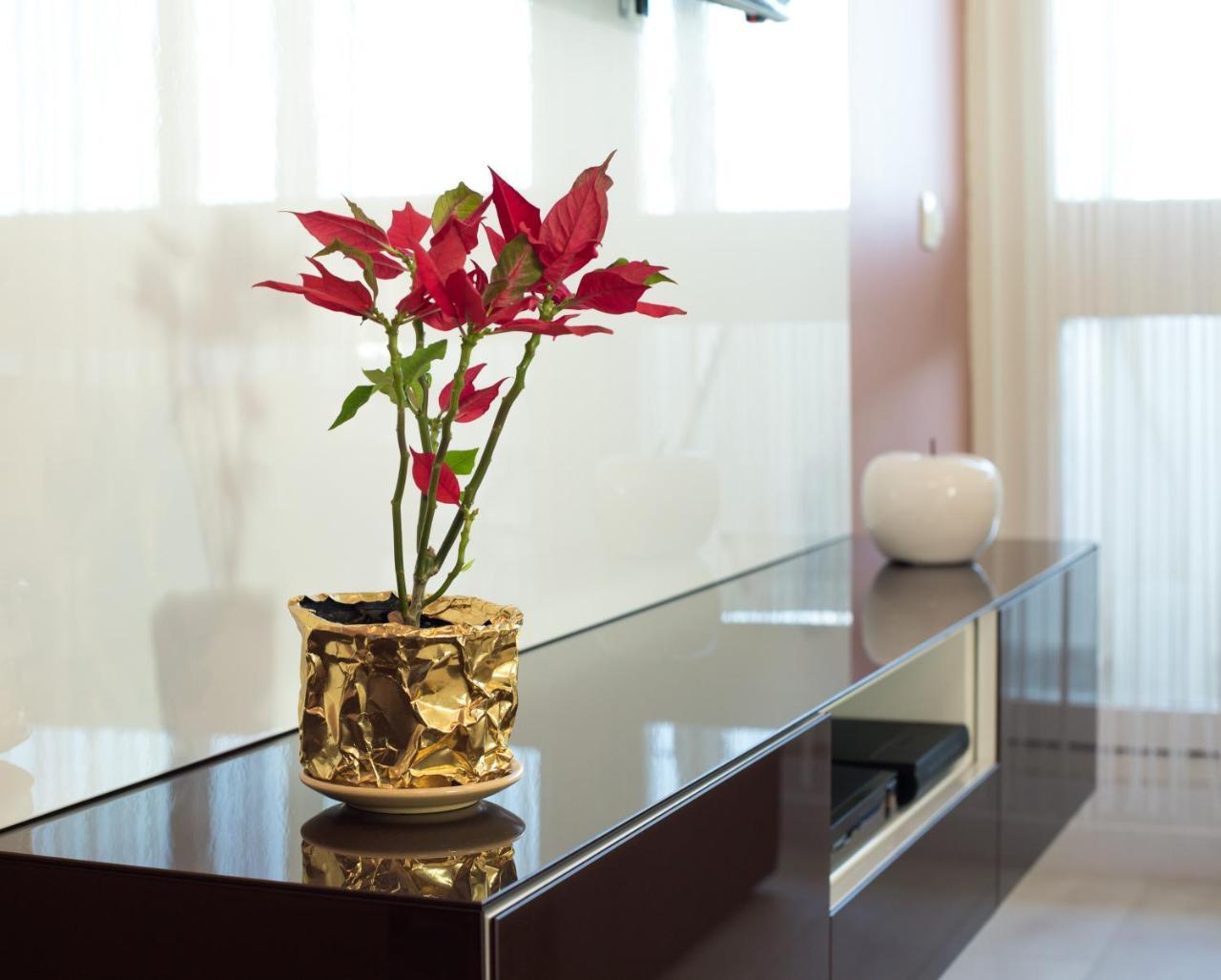 Amalfi Apartment *