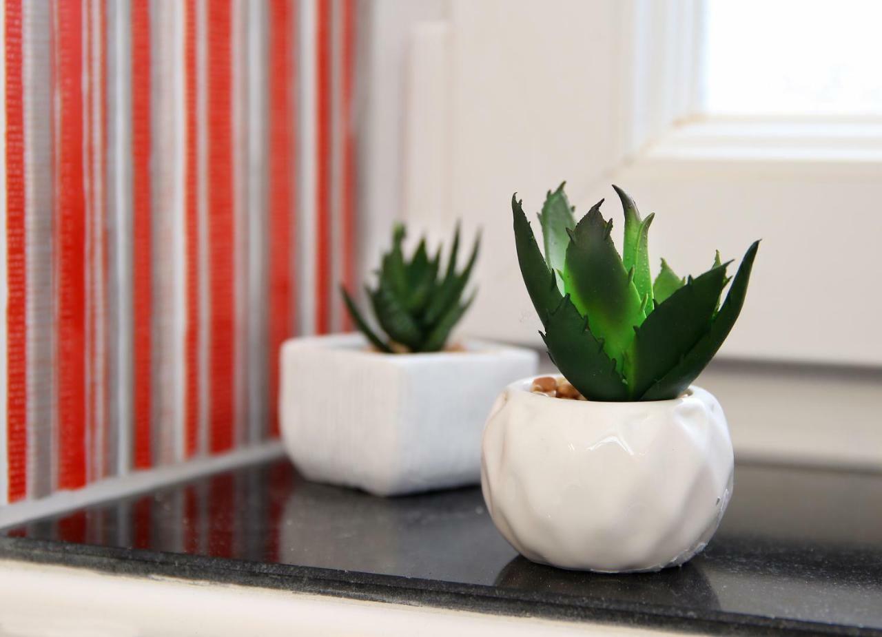 Apartment Chic *