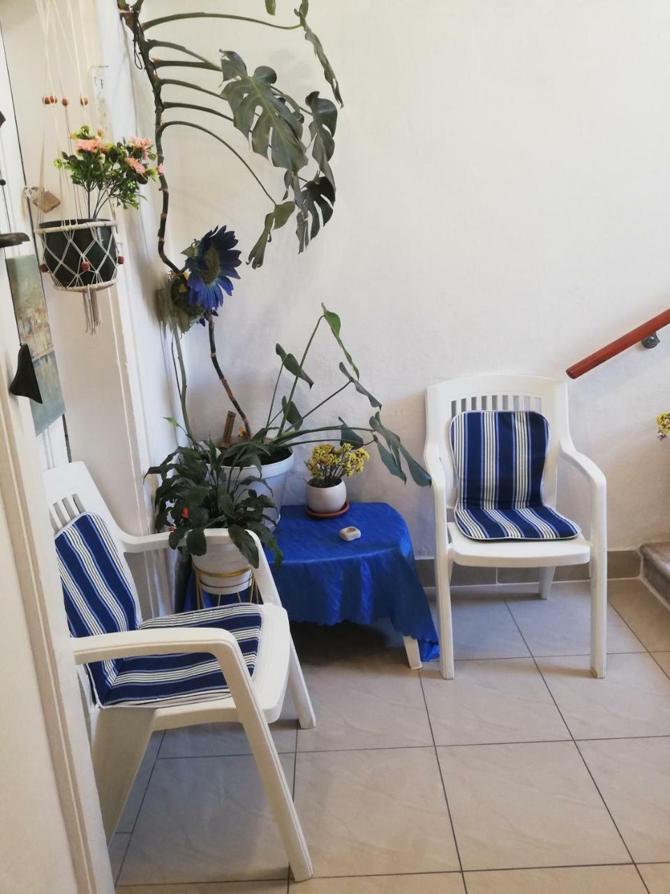 Sibila Guest house