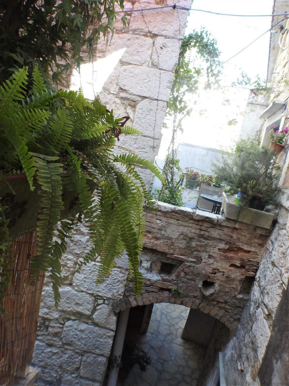 Kovacic_grubisic Appartement *