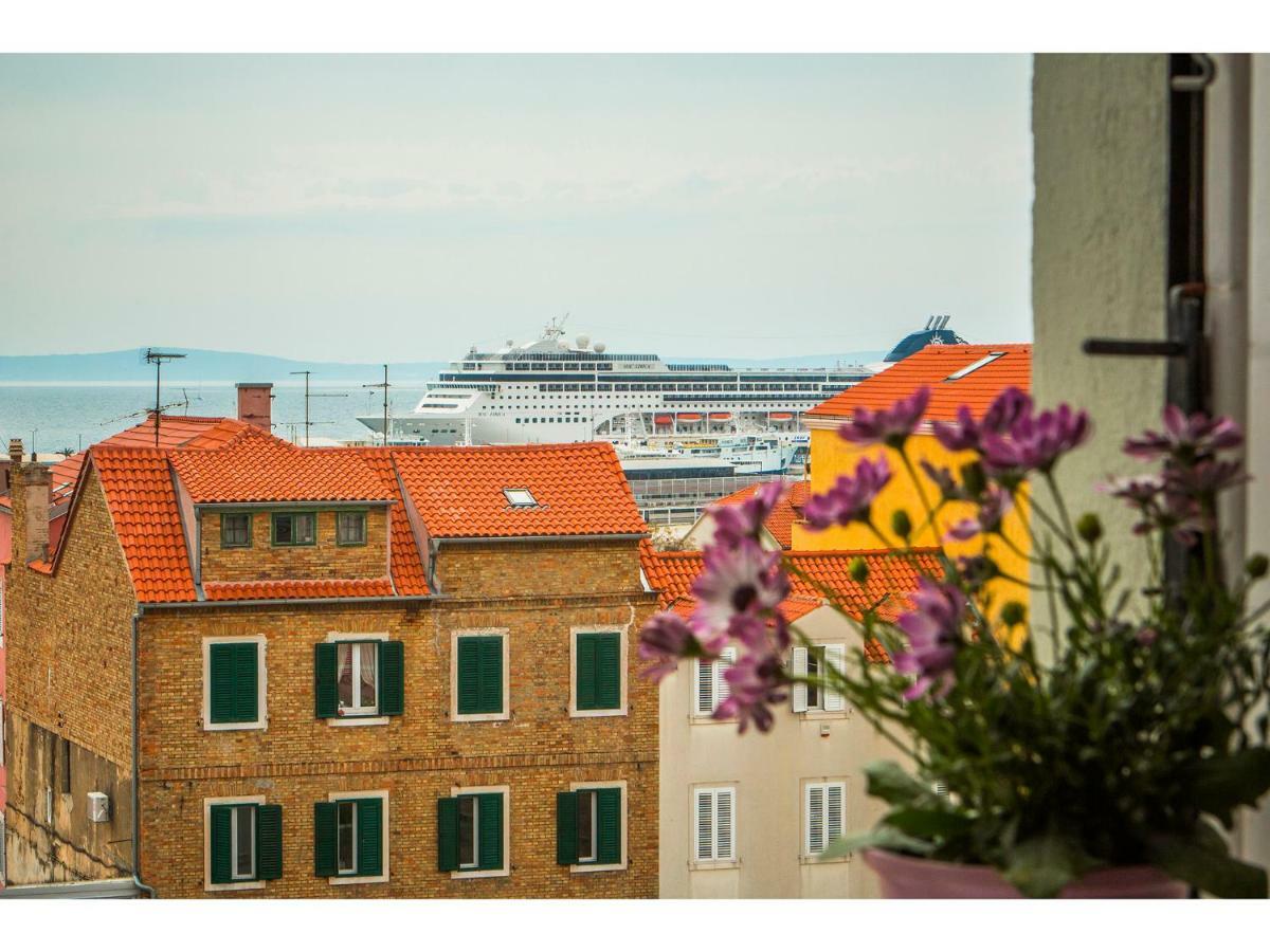 Apartment Liatris