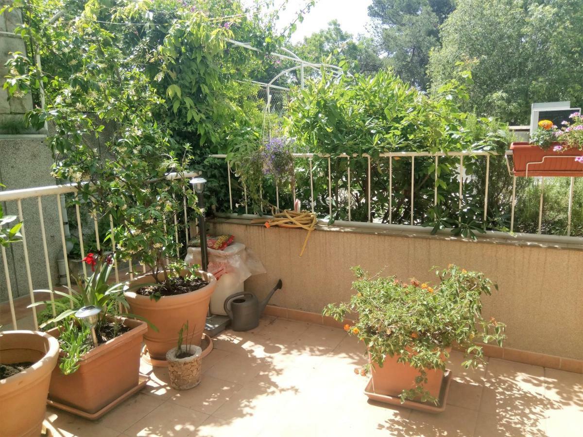 Apartment Tiha