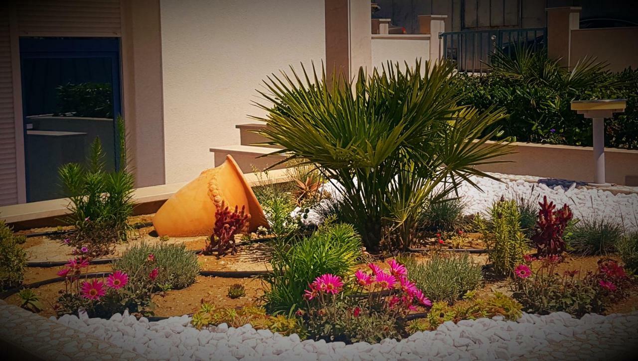 Apartment Kamelija Split