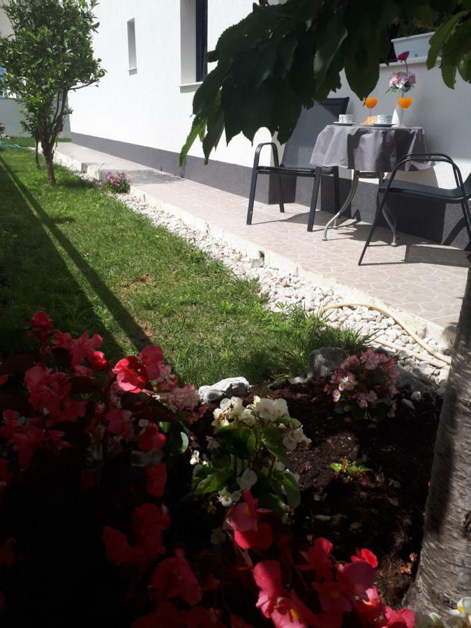 Apartment Ivano *
