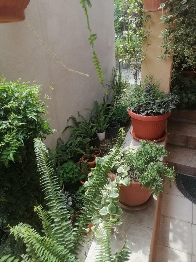 Apartment Lea Split