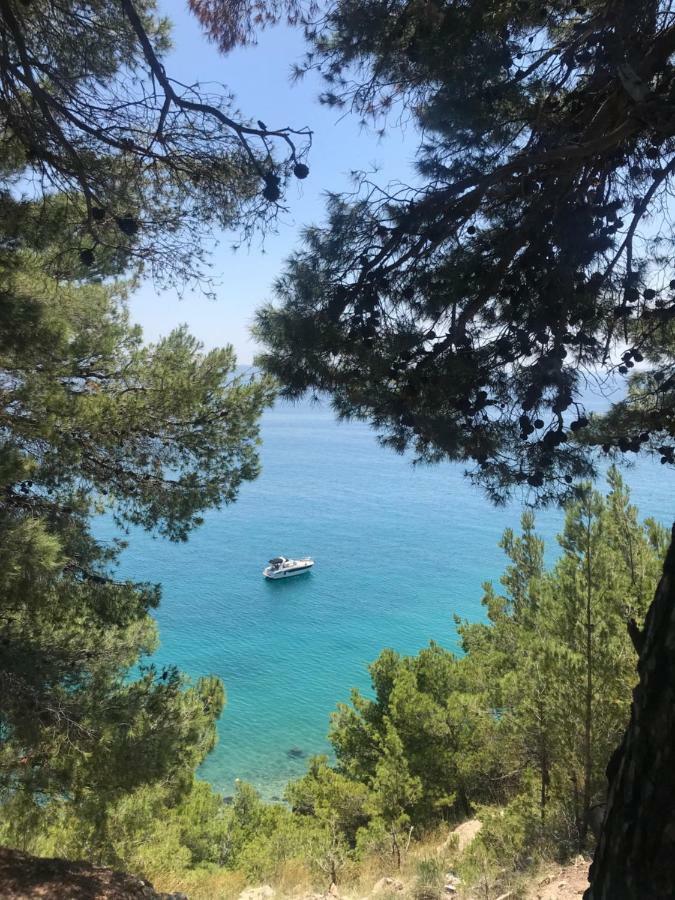Taras *