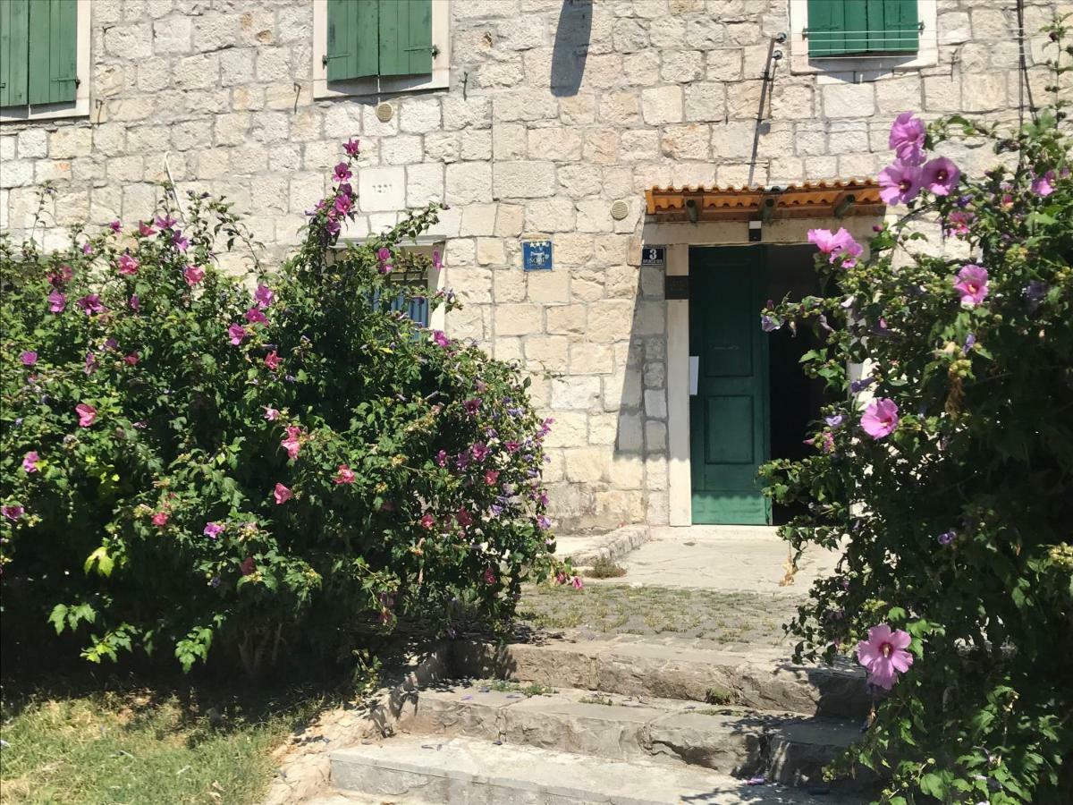 Guest house Nirvana &