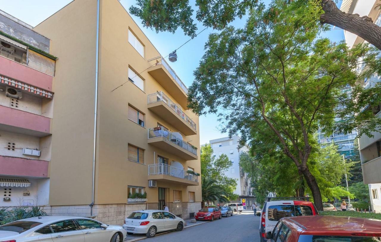 Apartment Olive Tree