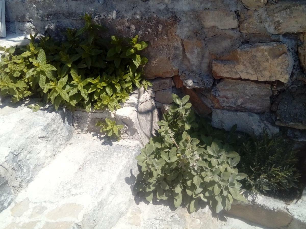 Holiday home Ana Split