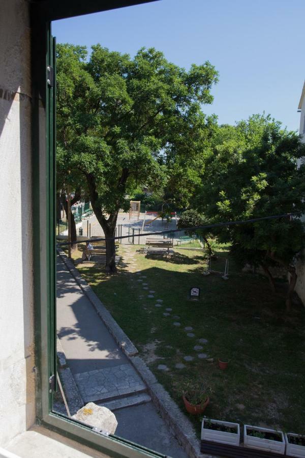 Morus Alba Apartamento
