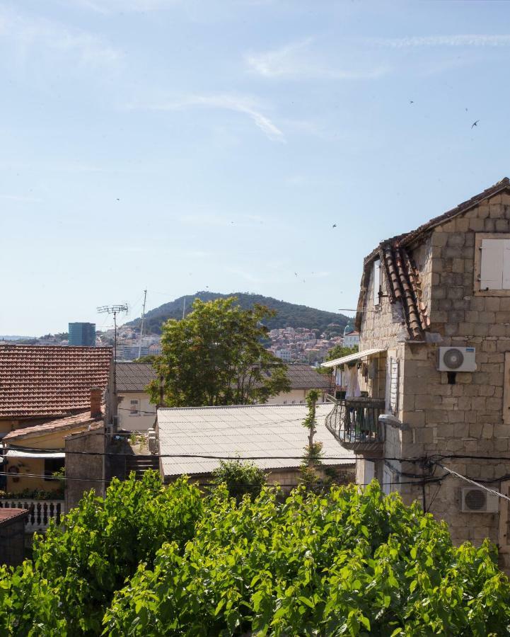 Morus Alba Apartamento