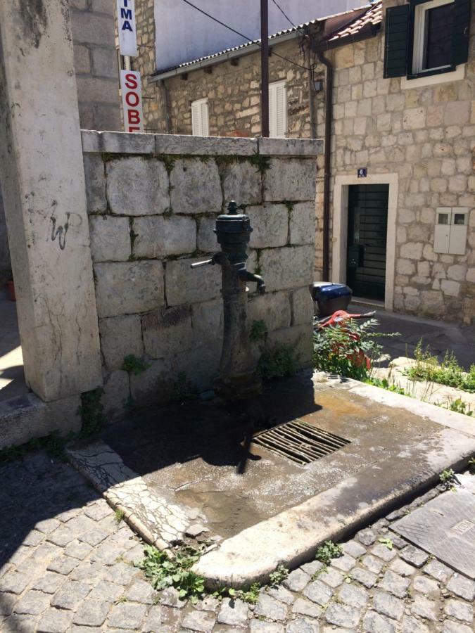 Morus Alba * Split