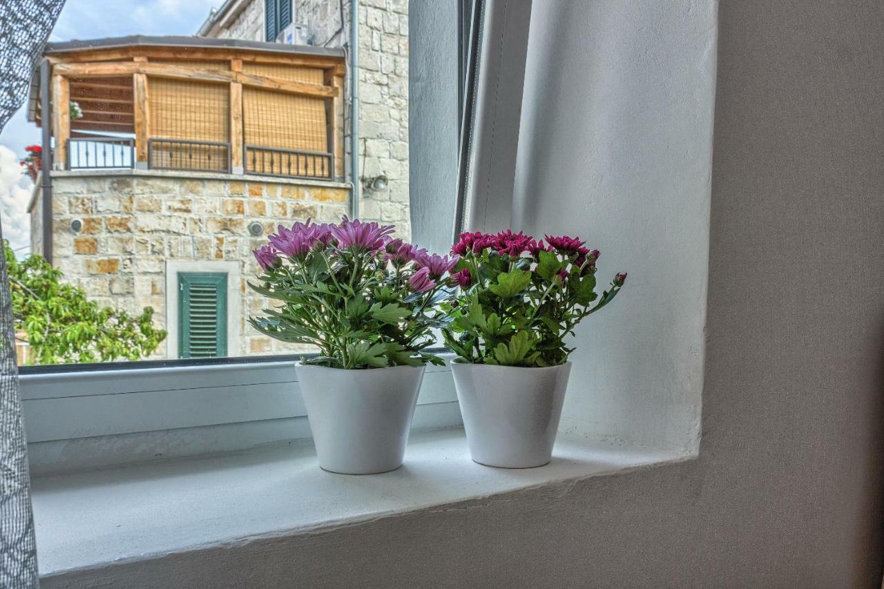 Apartment Lovely New Studio In The City Center 4**** *