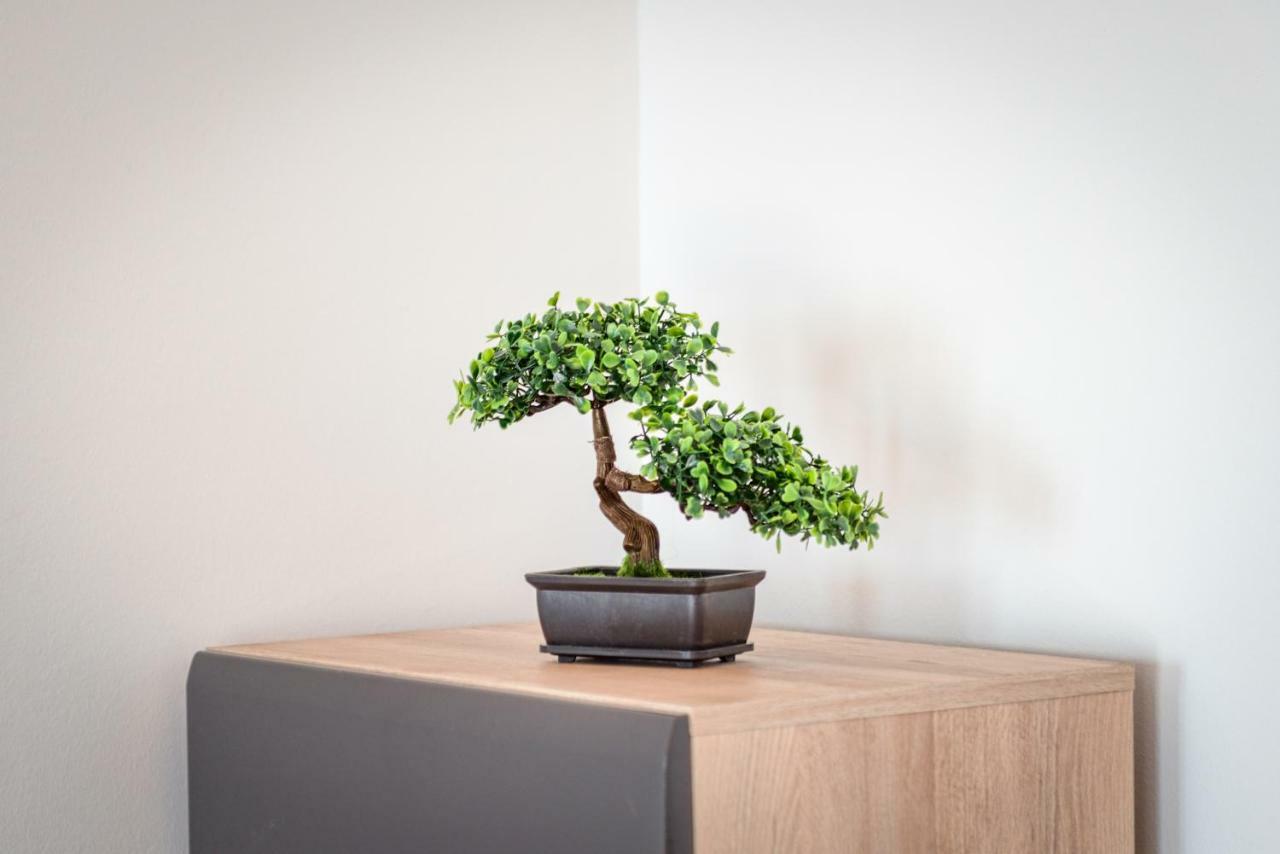 Apartment Ana Split
