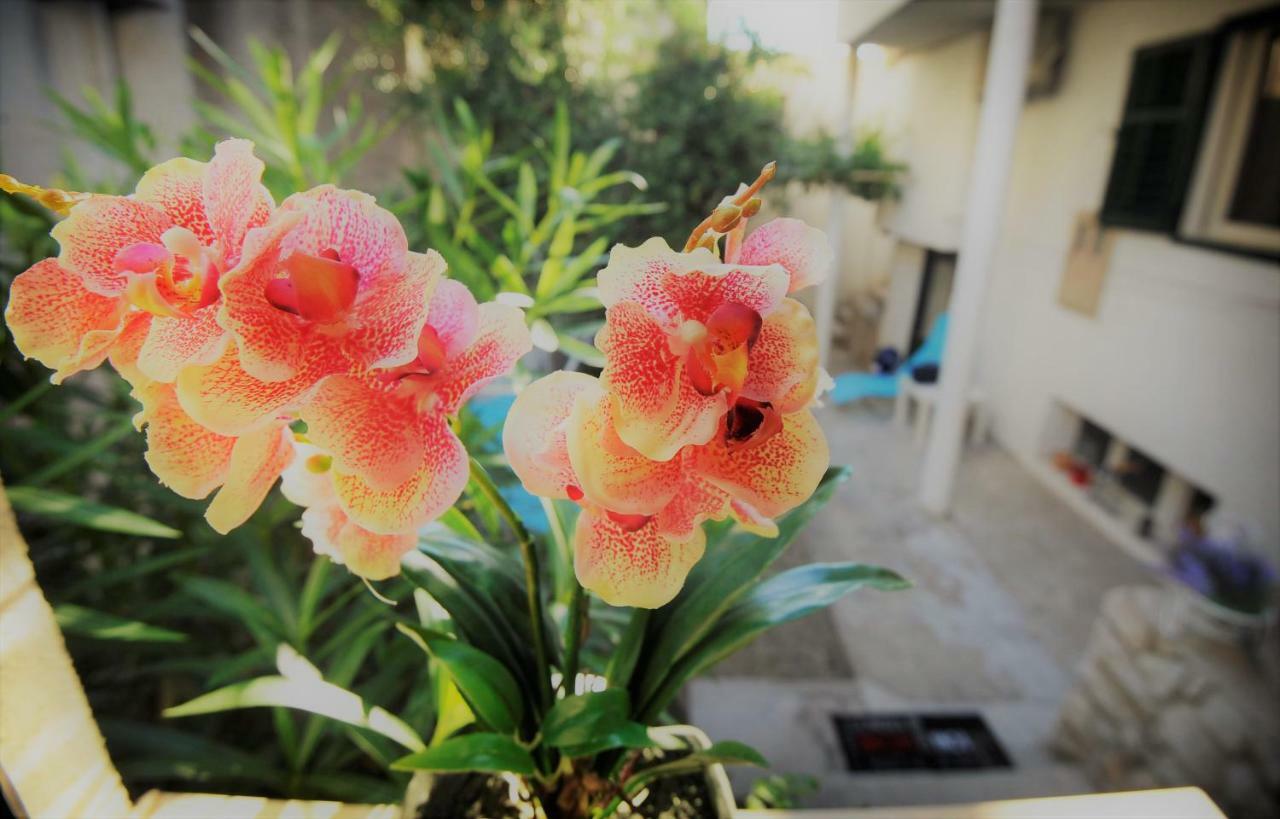 Apartman Bella * Split