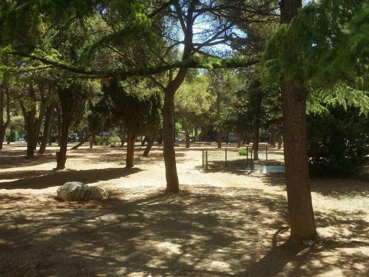 Park * Split