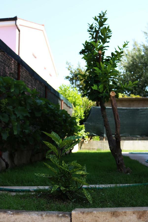 Sweet Apartman *