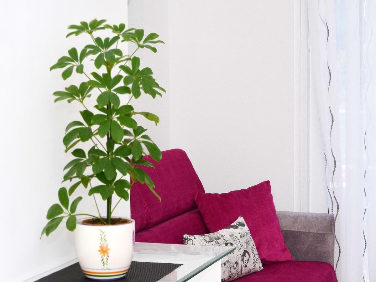 Apartman Luxury Marionik *