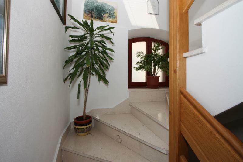 Marjan & 3* Split