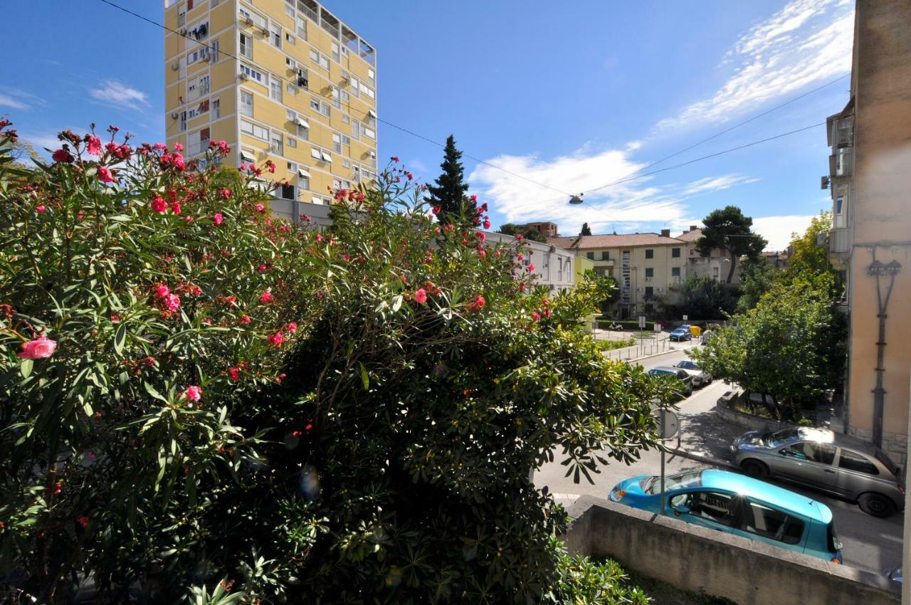Sunny Center Apartment
