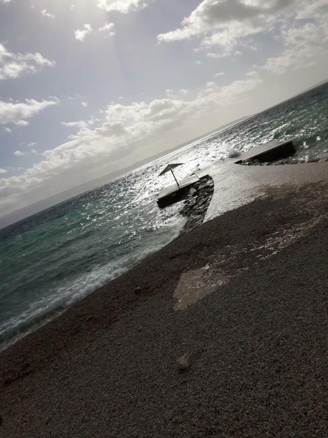 Trstenik