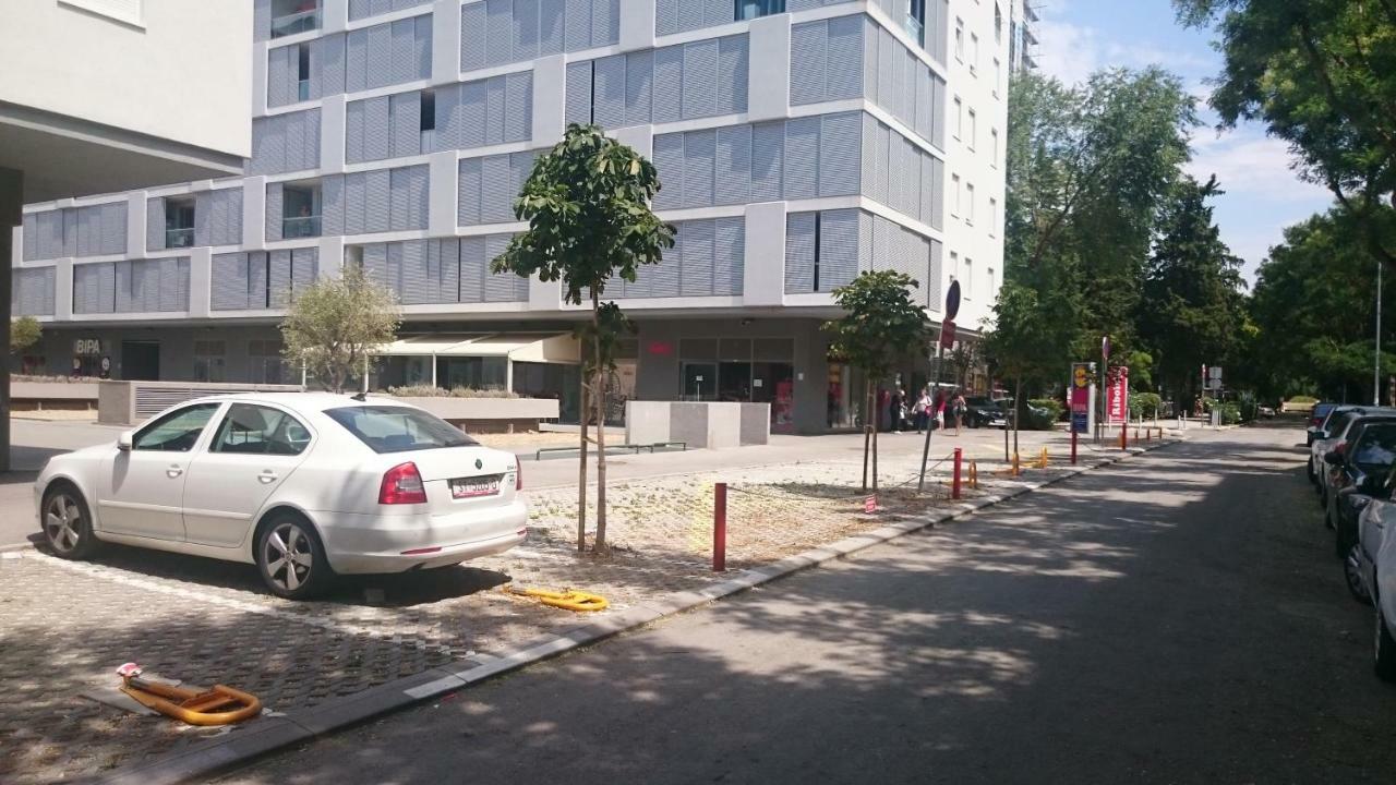Luxury Apartamento