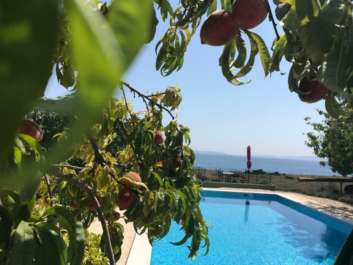 Holiday Oleja * Split