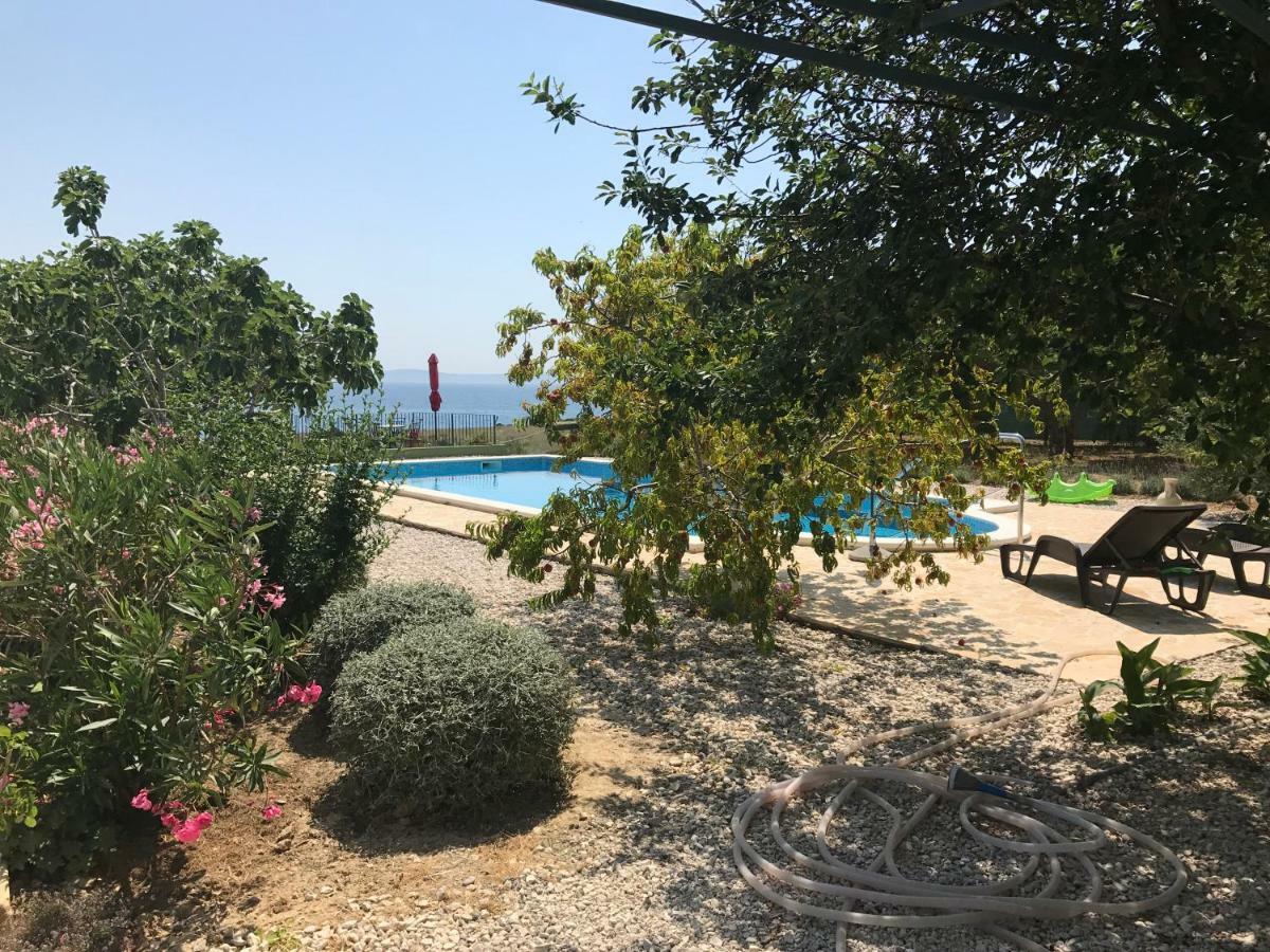 Holiday Oleja