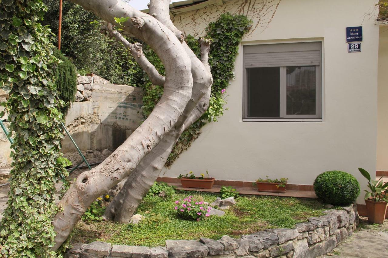 Viva Apartment Split