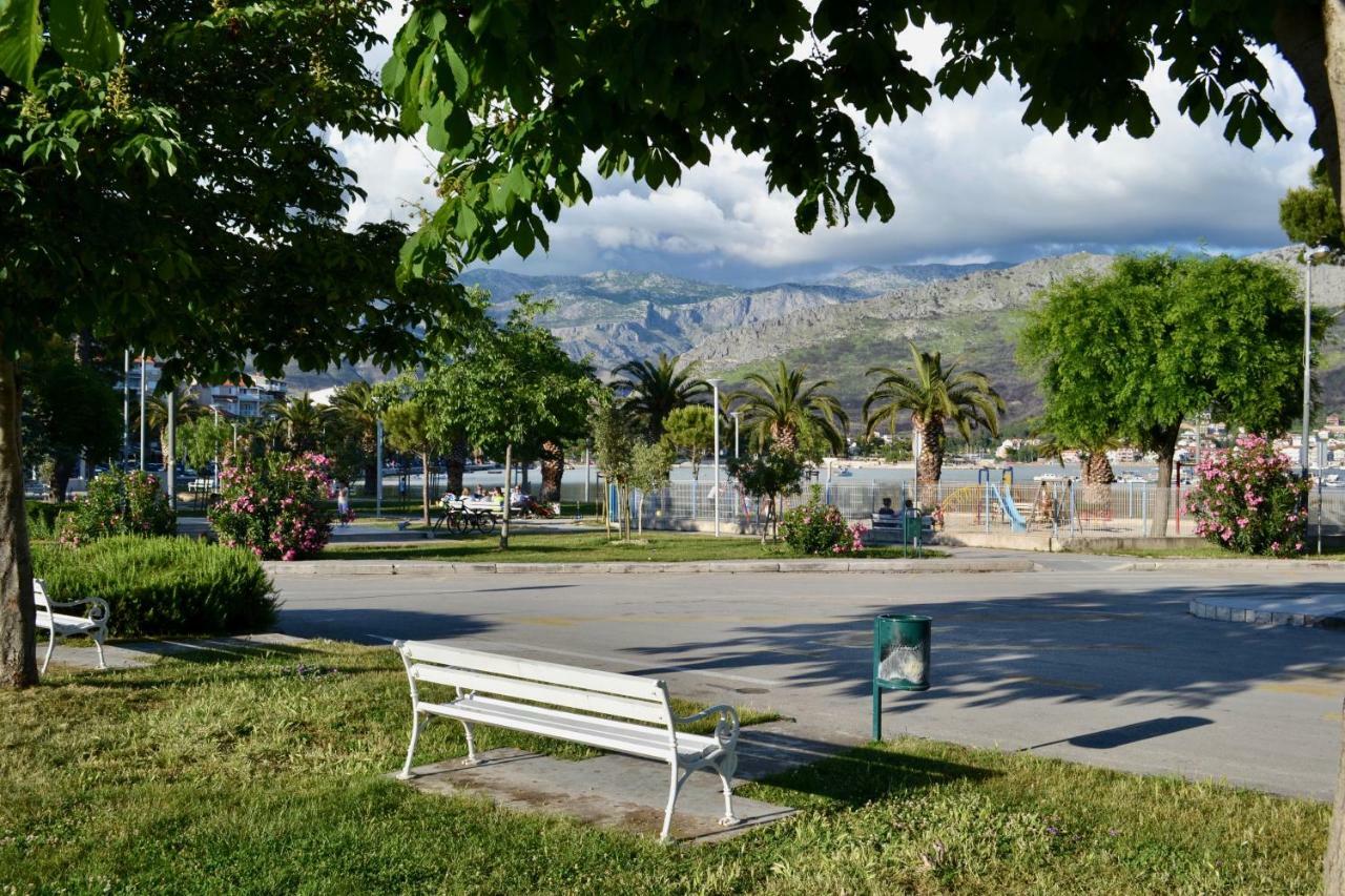 Olive Tree Apartment