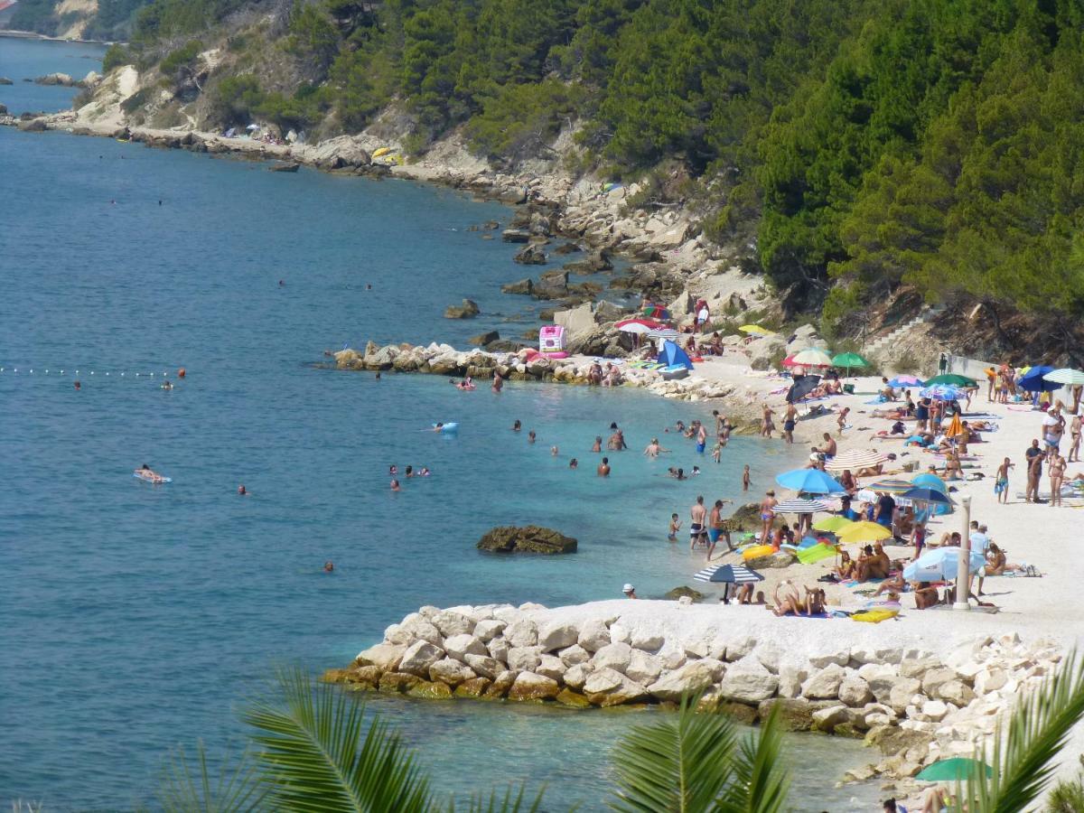 Antea * Split