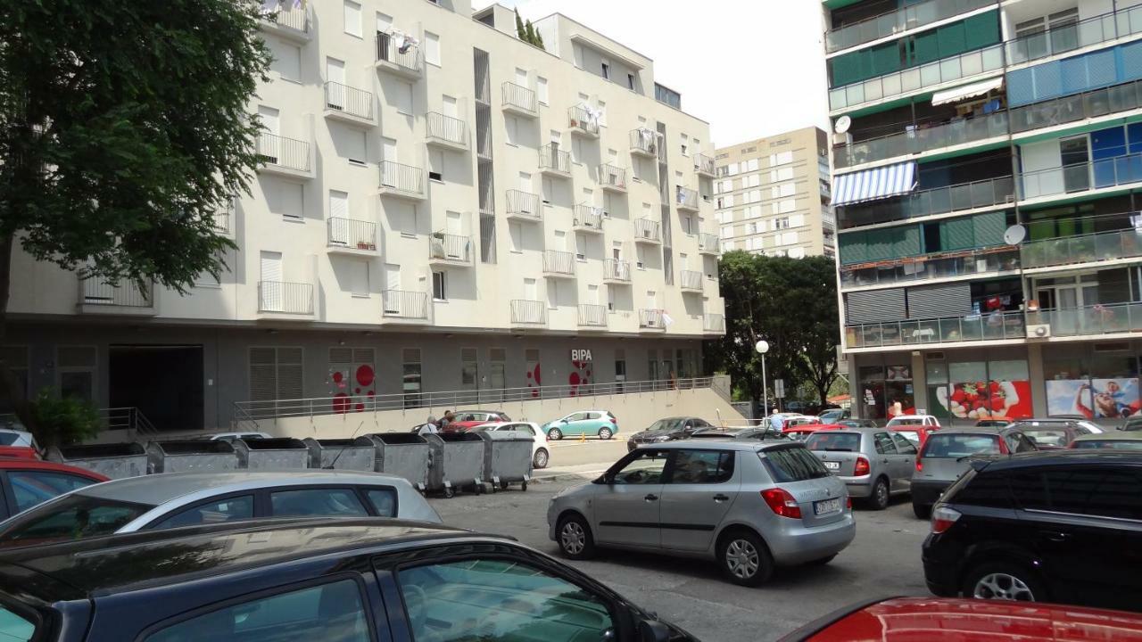 Cvit Jadrana Apartman
