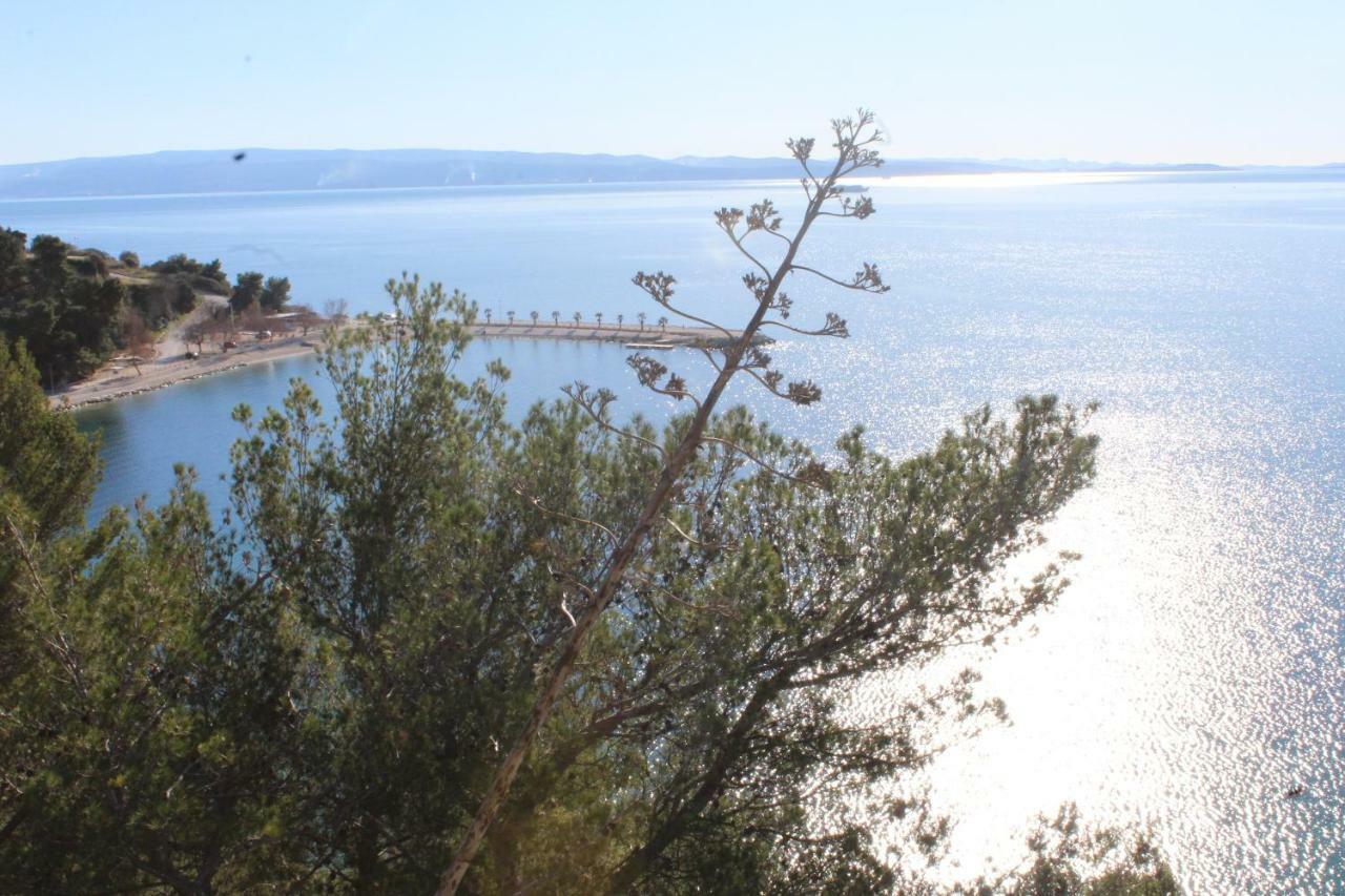 Apartamento Paradise With Big Sunny Terrace In The Old Town, Few Meters From The Sea & Riva Promenade Split