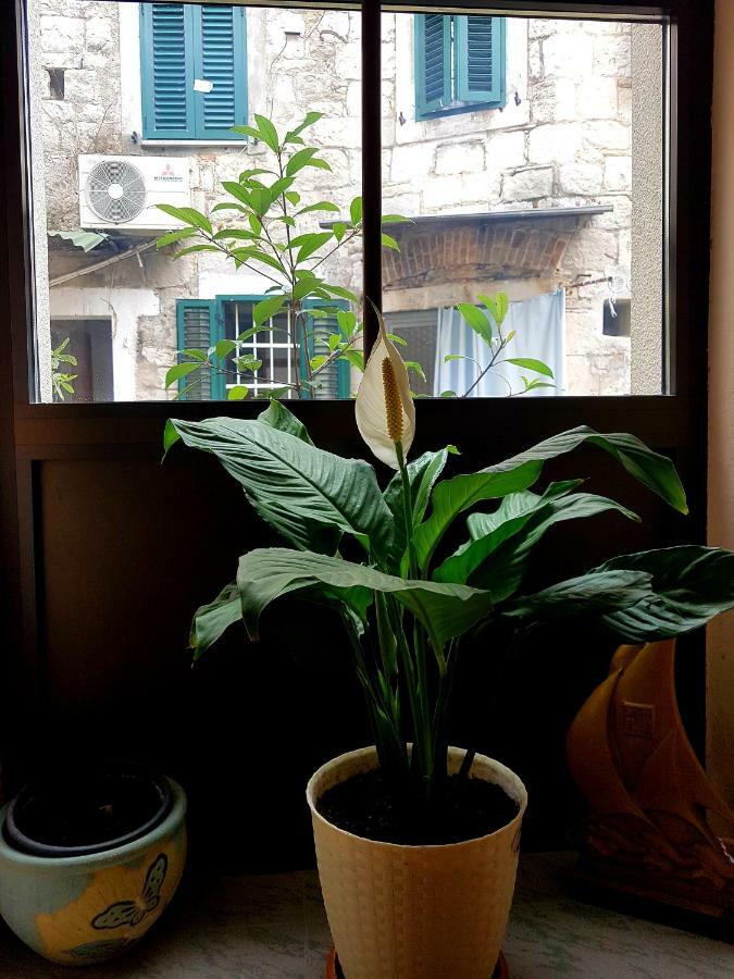 Centar App.dijana Appartement Split
