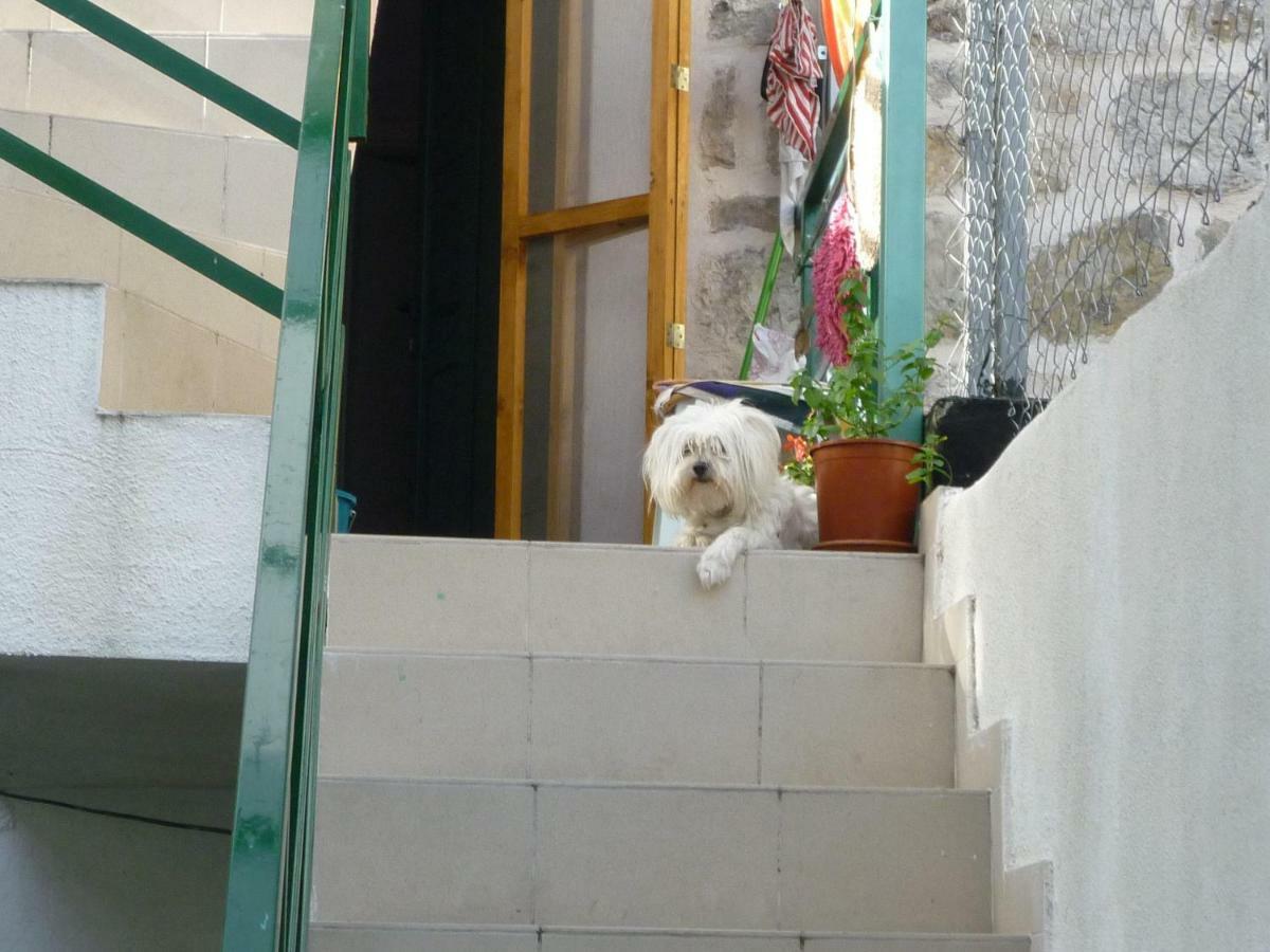 Cosy In The Center Of Guest house