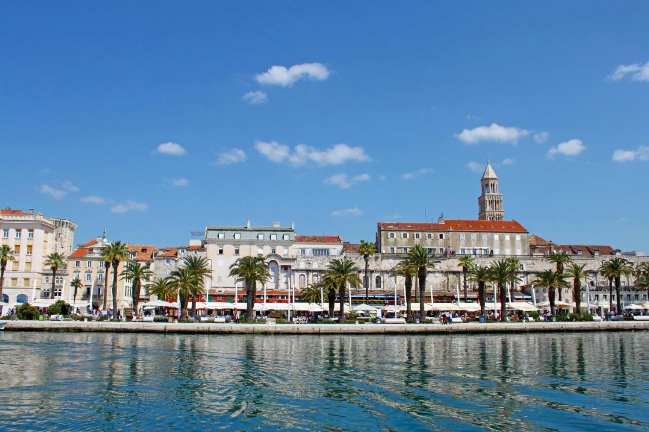 Orchidea In The Centre Split