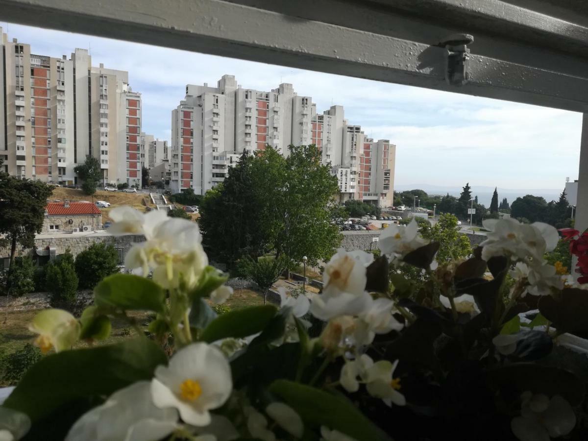 Antonio * Split