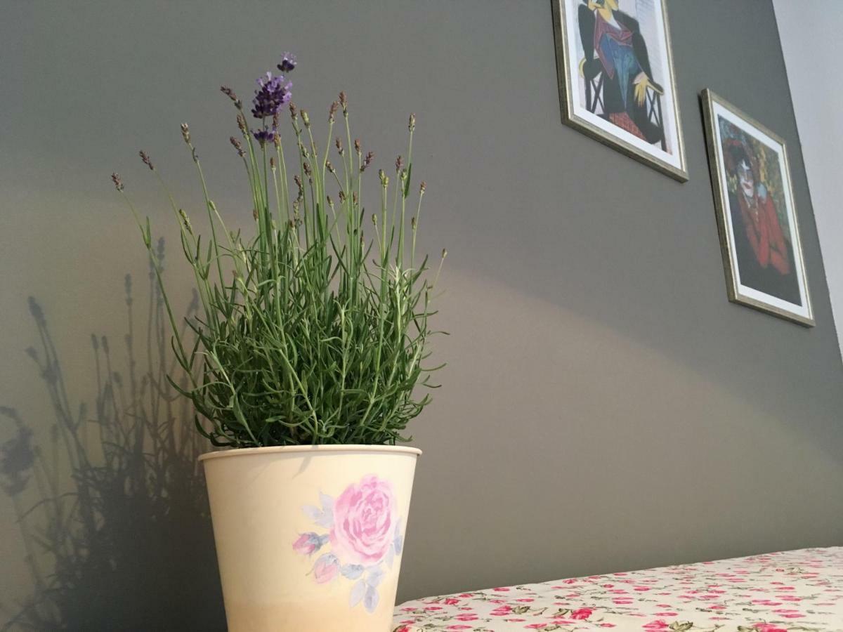 Apartman Neda Split