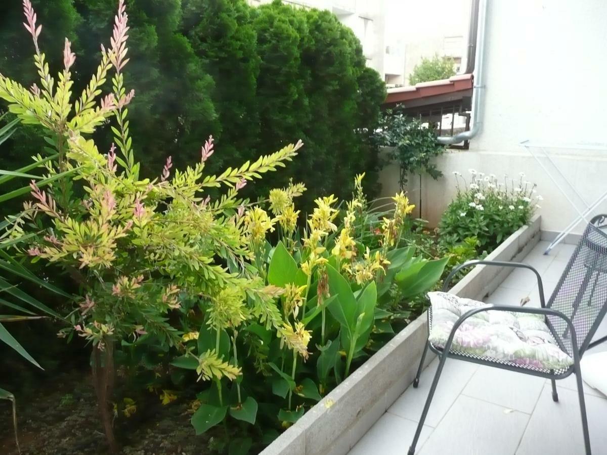 San Appartement