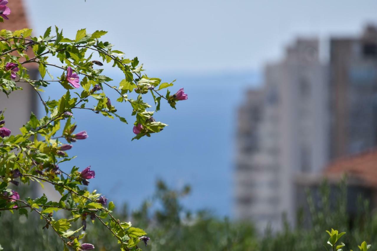 Apartman Neyra Split